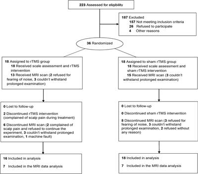 Effects of rTMS Treatment on Cognitive Impairment and Resting-State Brain Activity in Stroke Patients: A Randomized Clinical Trial